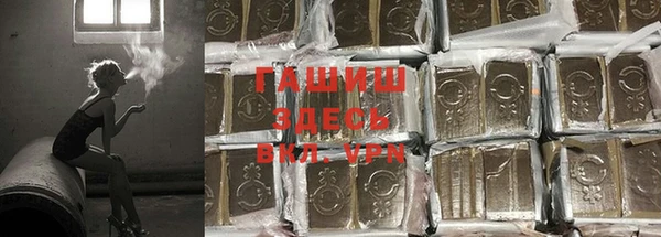 дмт Аркадак